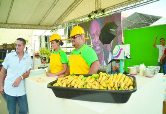 FERIA DEL BANANO