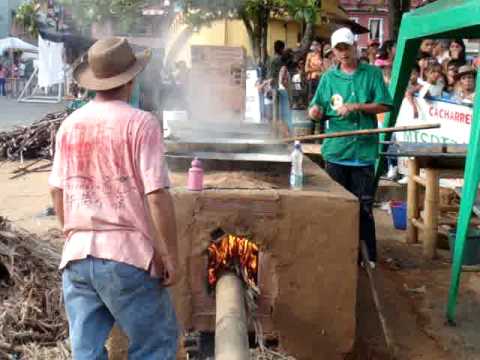 FIESTA DE LA PANELA