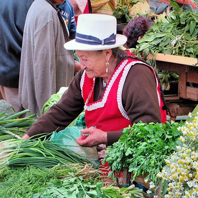 FERIA GANADERA Y DEL CAMPESINO