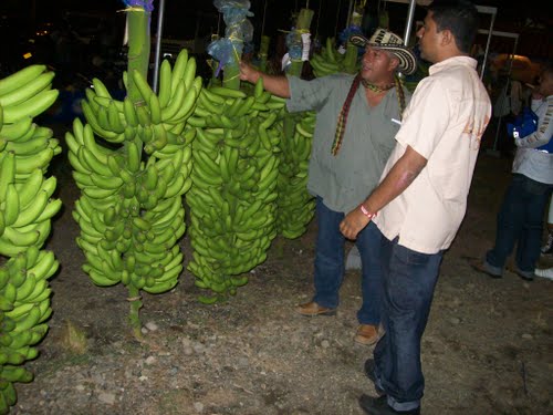 feria agroindustrial