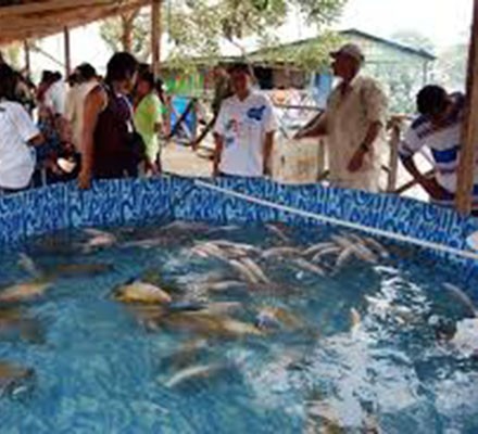 FERIA PISCICOLA DEL AMAZONAS