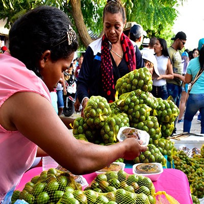 FESTIVAL DE LA CIRUELA