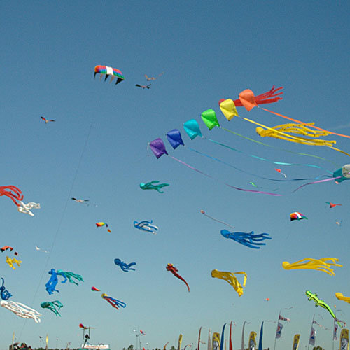 FESTIVAL DE LA COMETA