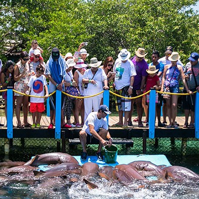 FESTIVAL DE VERANO