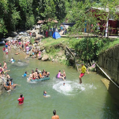 FIESTA DEL BOSQUE Y EL RETORNO