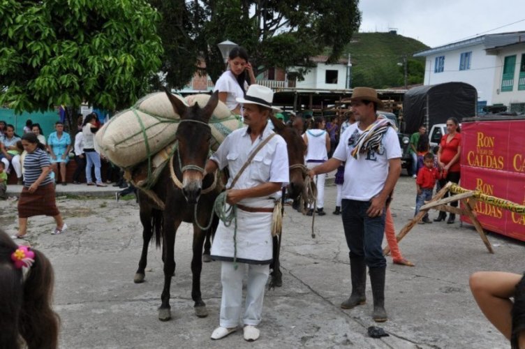 FIESTA DEL ARRIERO