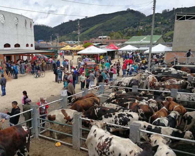 feria comercial ganadera