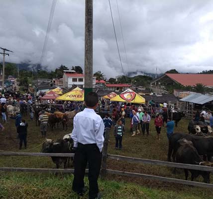 FIESTAS DE MITACA