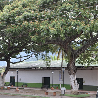 FESTIVAL DE LA INSPECCIÓN DE SAN ANTONIO