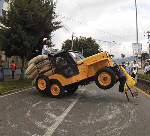 FIESTAS AREUCARIAS