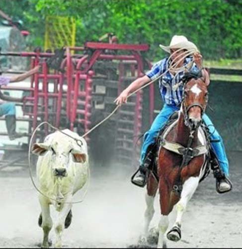 ENCUENTRO MUNDIAL DE VAQUERÍA